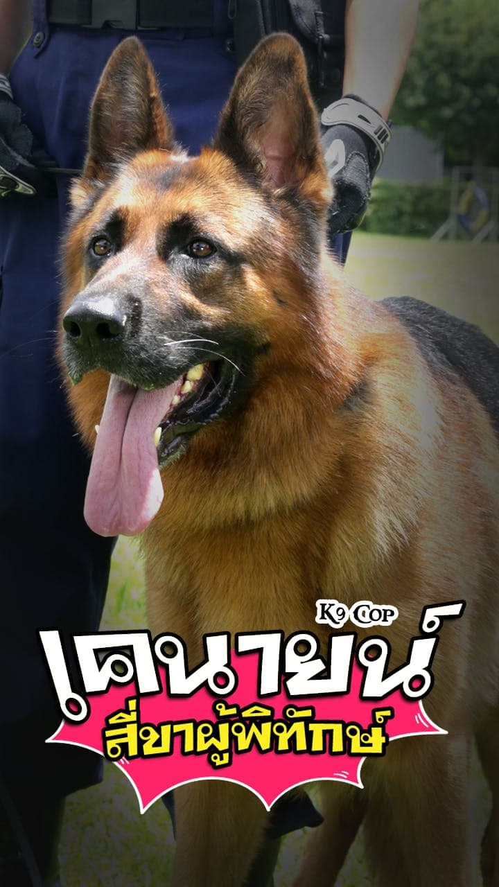 เคนายน์สี่ขาผู้พิทักษ์